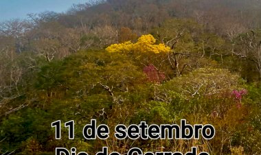 Dia do Cerrado