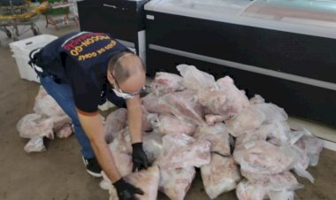 Em menos de uma semana, Procon Goiás apreende mais de meia tonelada de alimentos impróprios para consumo