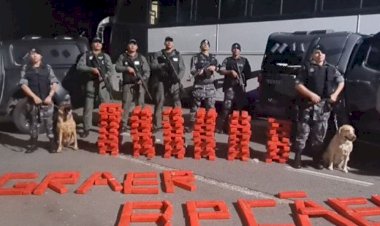 Tráfico Internacional: PM apreende 200 kg de maconha em ônibus vindo do Paraguai