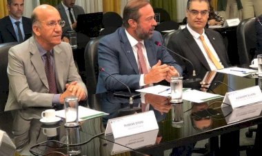Desenvolvimento com sustentabilidade: transição energética e hidrogênio verde são debatidos em reunião
