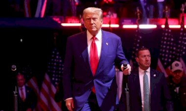 Insultos a Porto Rico em comício de Trump acabam por beneficiar Kamala