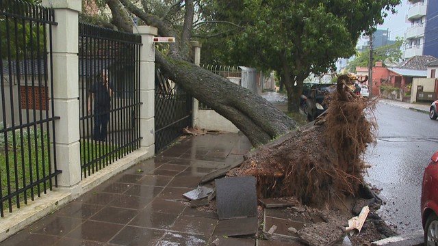Ciclone extratropical no RS: ventos acima de 100 km/h provocam estragos no estado; 48 municípios registram impactos