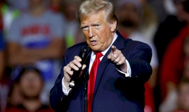 Donald Trump vence eleição e retorna à presidência dos Estados Unidos
