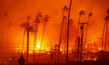 Incêndio florestal se espalha por Los Angeles, deixa 5 mortos e mil estruturas destruídas; situação é sem precedentes e deve piorar