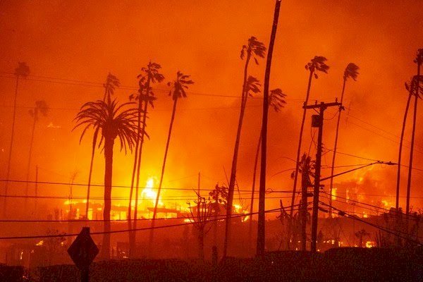 Incêndio florestal se espalha por Los Angeles, deixa 5 mortos e mil estruturas destruídas; situação é sem precedentes e deve piorar